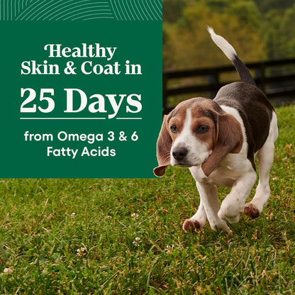 Nutro Natural Choice Puppy Food Dry, Lamb & Brown Rice Recipe, 4.5 lb. Bag