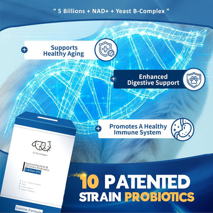 Dr. Kiwi O'dogcat Probiotics for Dogs | Support Gut Health, Diarrhea, Digestive Health & Seasonal Allergies