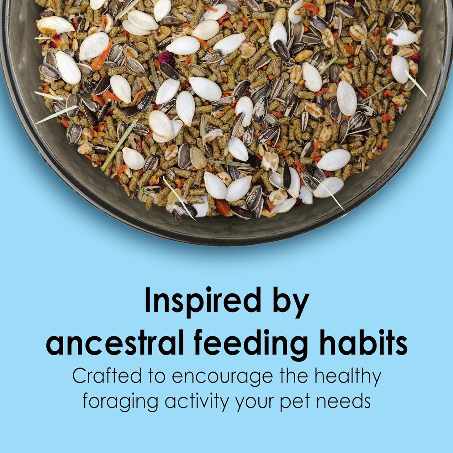 Kaytee Food from The Wild Natural Pet Hamster Food, 2 Pound