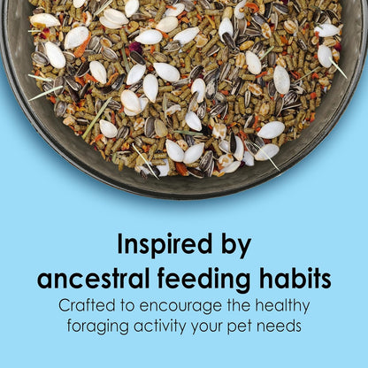 Kaytee Food from The Wild Natural Pet Hamster Food, 2 Pound