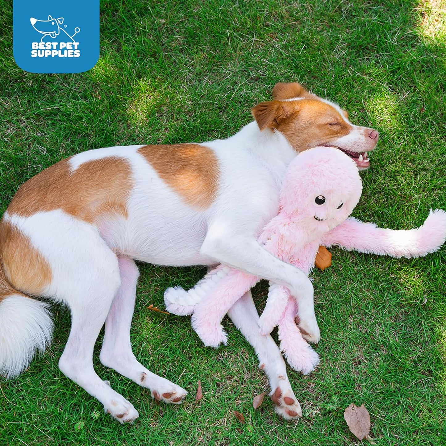 Best Pet Supplies OctoMutant Crinkle Plush Dog Toys for Interactive Play, Puppy and Senior Indoor Play, Colorful Octopus Toy Shape, Soft Head Stuffing, Cute and Cuddly
