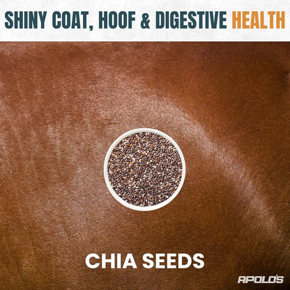 Greenfit APOLO'S 100% Natural Horse Supplement for Daily Feeding – Joint Support, Coat Shine & Strength | Flaxseed, Quinoa, Chia | 10 LB Bag