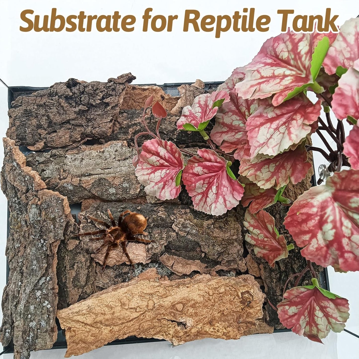 BNOSDM Reptile Cork Bark Substrate 32oz Lizard Bedding for Habitat Natural Flat Cork Wood Bulk Terrarium Reusable Bark Pieces for Chameleon, Ball Python, Crested Gecko, Spider, Tortoise, Tree Frog