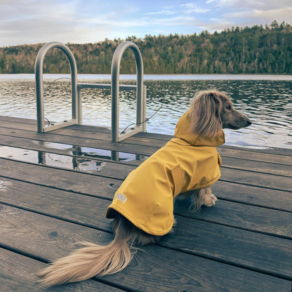 Dachshund Raincoat, Sausage Dog Rain Jacket, Long Dog Coat, Weiner Dog Raincoat, Doxie Rain Jacket (Medium)