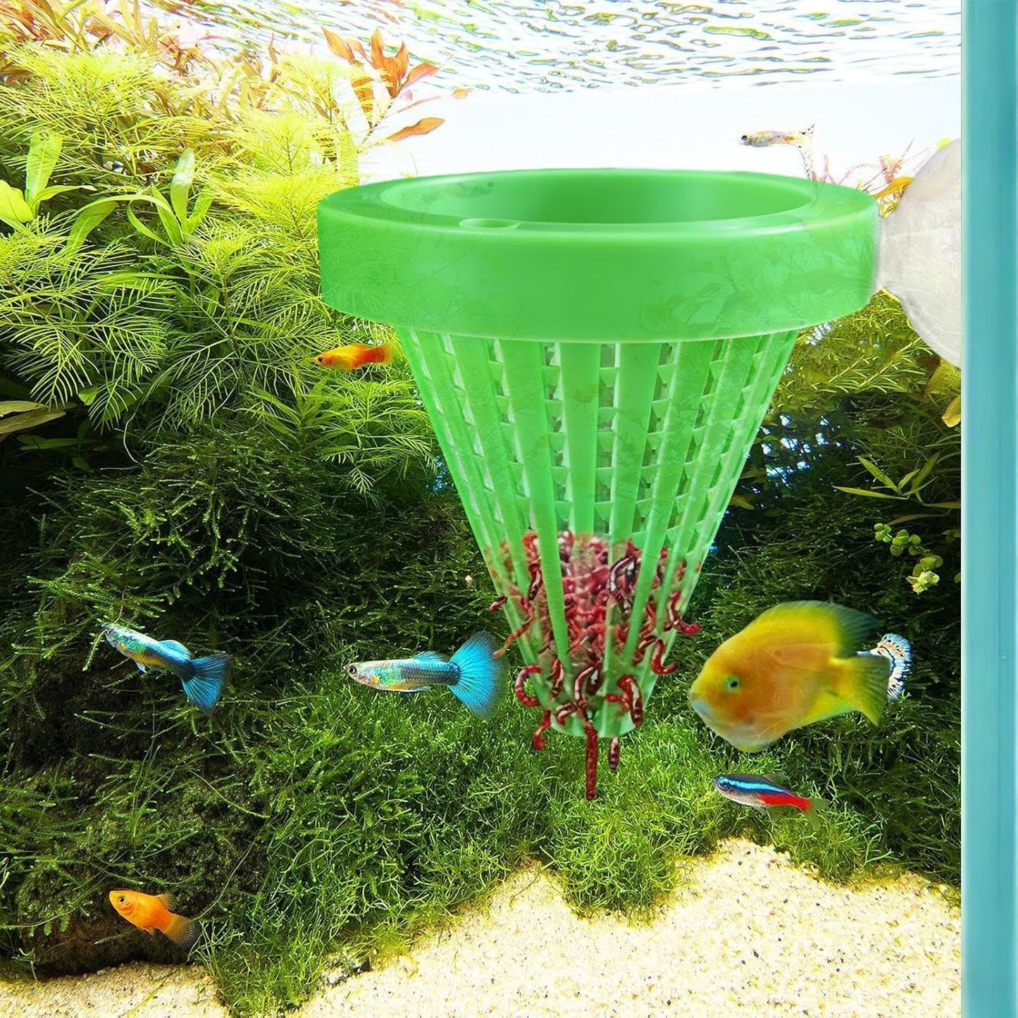 Fish Tank Feeding Cup - Suction Cup Worm Bowl Feeder, Compact Aquarium Feeding Dish, Safe, Convenient Fish Food Bowl, Ideal for Living Room Tabletop Entryway Bedroom Home