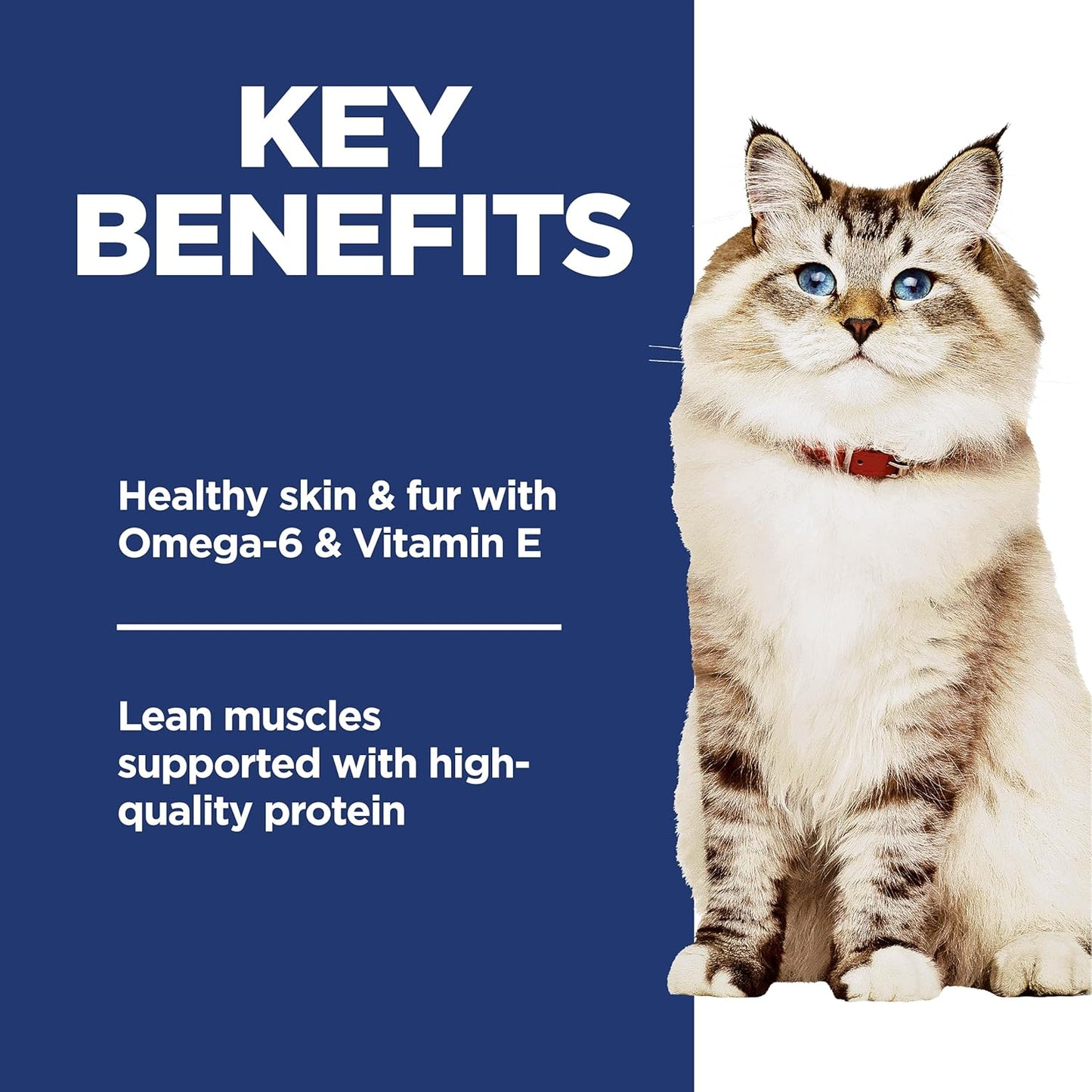 Hill's Science Diet Adult 1-6, Adult 1-6 Premium Nutrition, Dry Cat Food, No Corn, Wheat, Soy Chicken & Brown Rice Recipe, 7 lb Bag