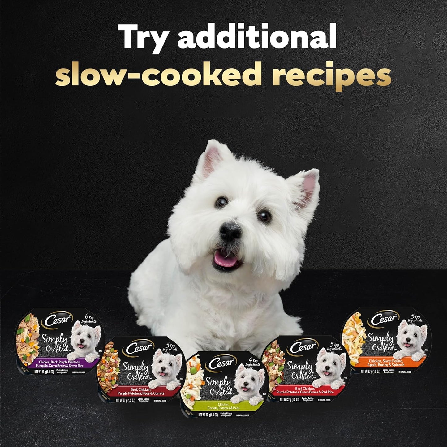 Cesar Simply Crafted Adult Wet Dog Food Toppers, Chicken, 1.3 oz Tubs, 10 Count (Pack of 1)