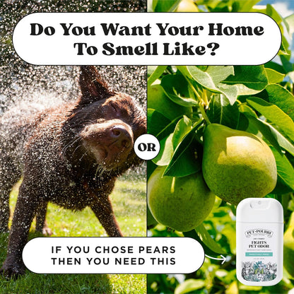 Poo-Pourri Pawsitively Fresh Pocket Deodorizer Spray – Dog & Cat Odor Remover – Plant Based Ingredients – Vet Recommended – Great for Air, Carpet, Fabric, Litter Box, Urine & Strong Pet Odors