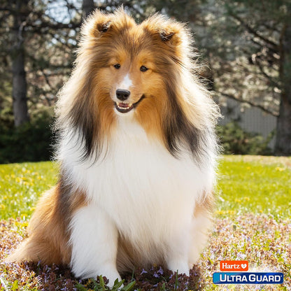 Hartz UltraGuard Pro Triple Active Flea & Tick Dog Shampoo