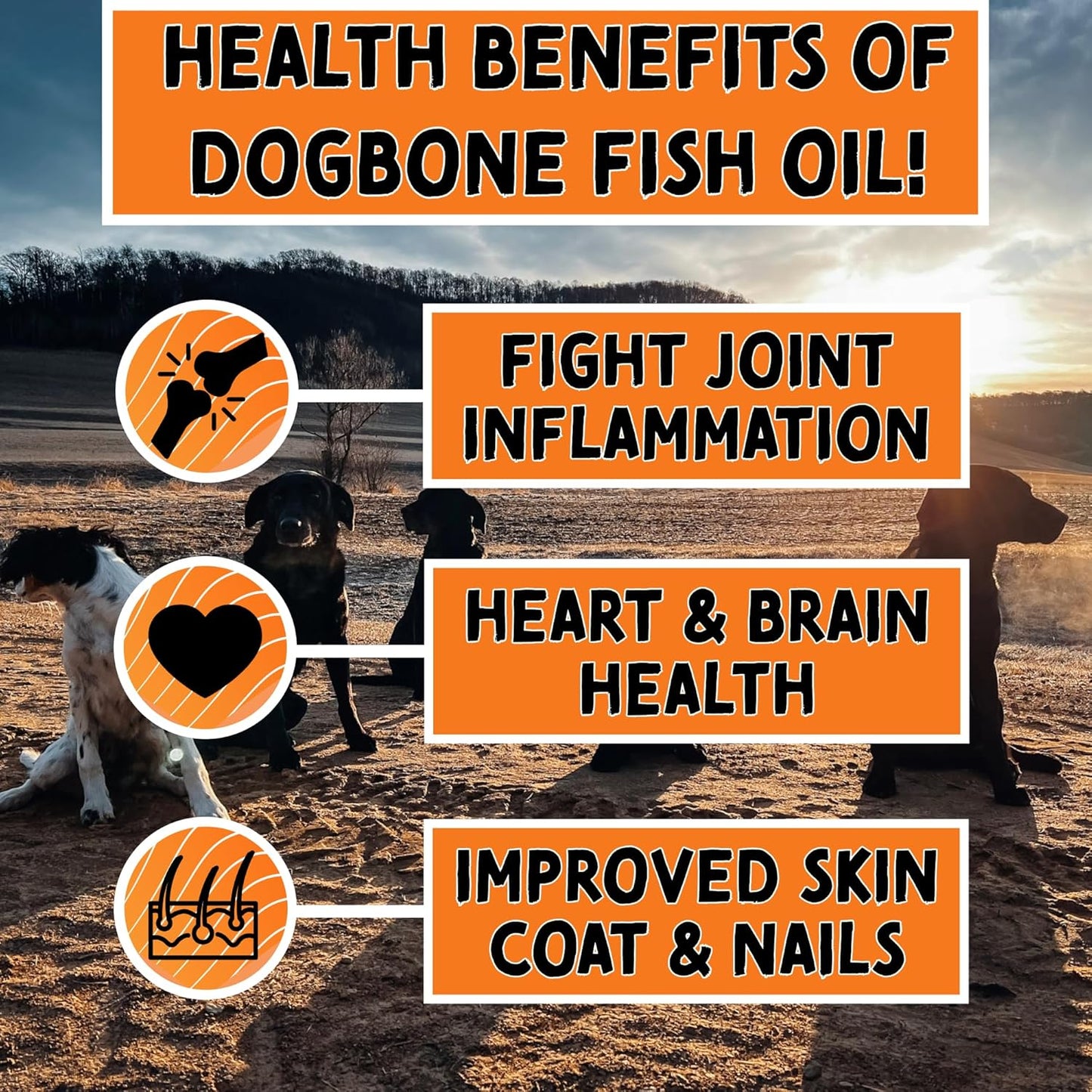 DogBone Fish Oil for Dogs 32 oz | Salmon Oil | Dog Fish Oil | Omega 3 | Dog Joint Supplement | Pet Vitamins and Supplements | Wild Alaskan Salmon Oil for Skin and Coat