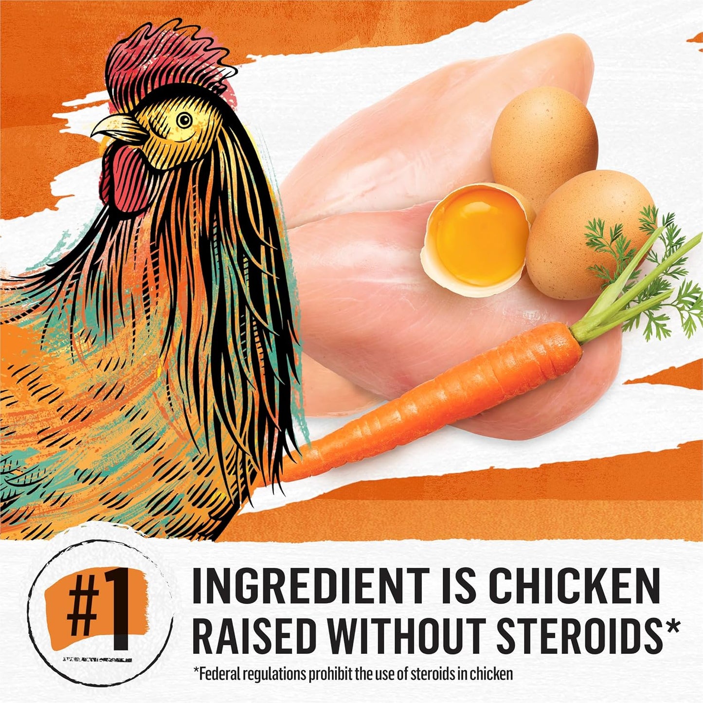 Purina Beyond Grain Free White Meat Chicken and Egg Recipe Natural Cat Food High Protein Cat Food Dry Formula - 5 lb. Bag