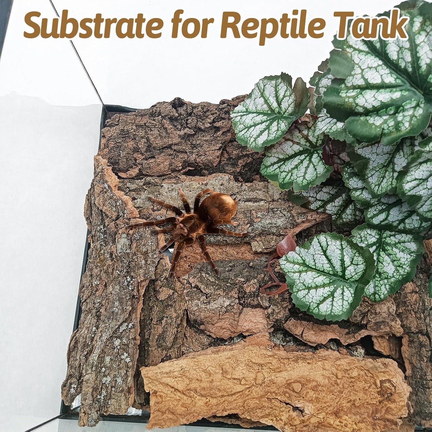 BNOSDM Reptile Cork Bark Substrate and Wooden Hideout Platform for Lizard, Gecko