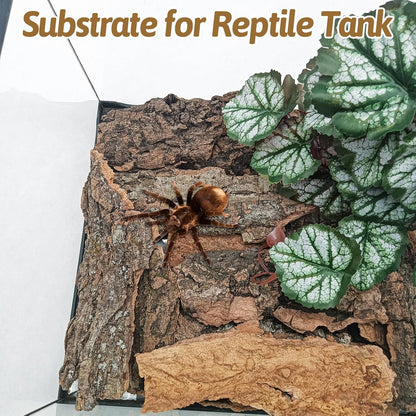 BNOSDM Reptile Cork Bark Substrate and Wooden Hideout Platform for Lizard, Gecko