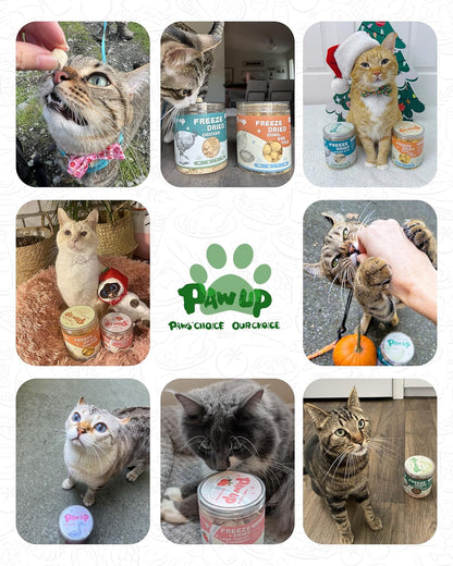 PAWUP Freeze Dried Chicken Cat Treats, Cat Grass Added, High-Fiber Hairball Care & Digestive Support Snacks for Indoor Cats, 3.8oz