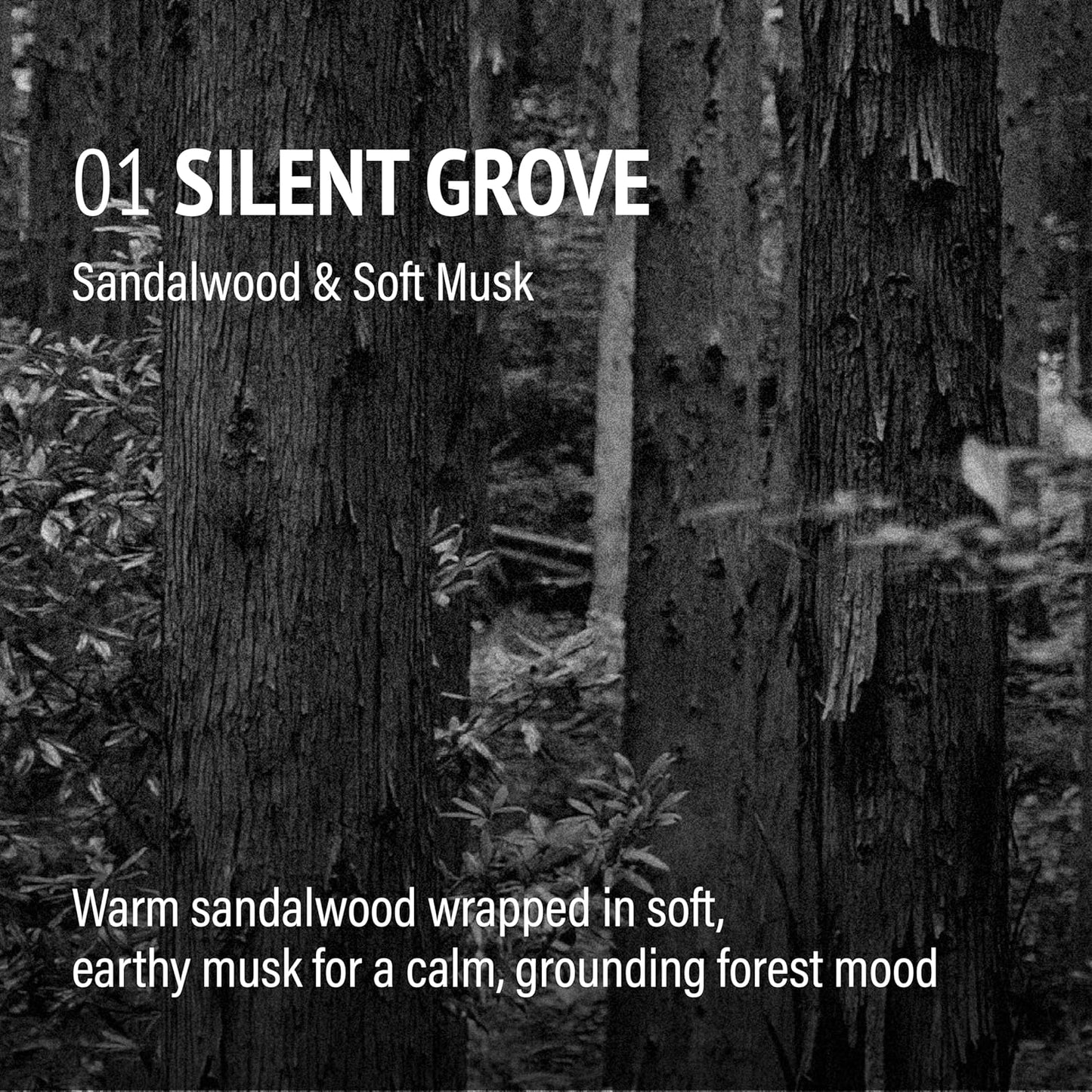 Vegan Dog Shampoo Bar Premium K-Beauty Inspired Gentle Dog Shampoo Bar for Sensitive Skin with Green Tea, Camellia Oil & Centella Asiatica, Elegantly Scented (Silent Grove)