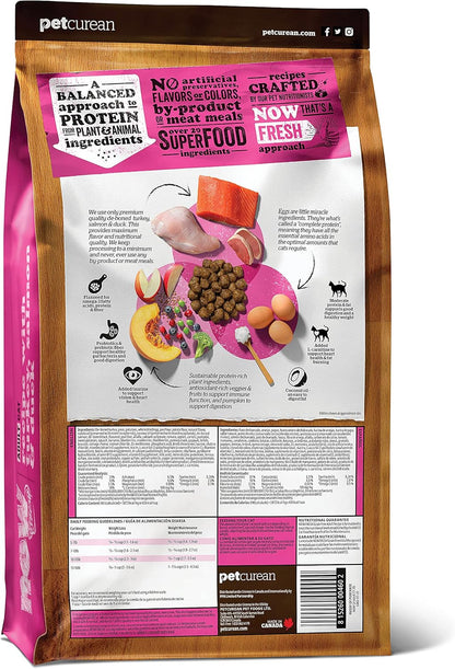 Now Fresh Grain-Free Dry Cat Food with Turkey, Salmon & Duck, Healthy Kibble for Adults Made with Real Meat & Fish, Chicken-Free, with Pumpkin & Probiotics for Sensitive Stomachs, 3 lb Bag