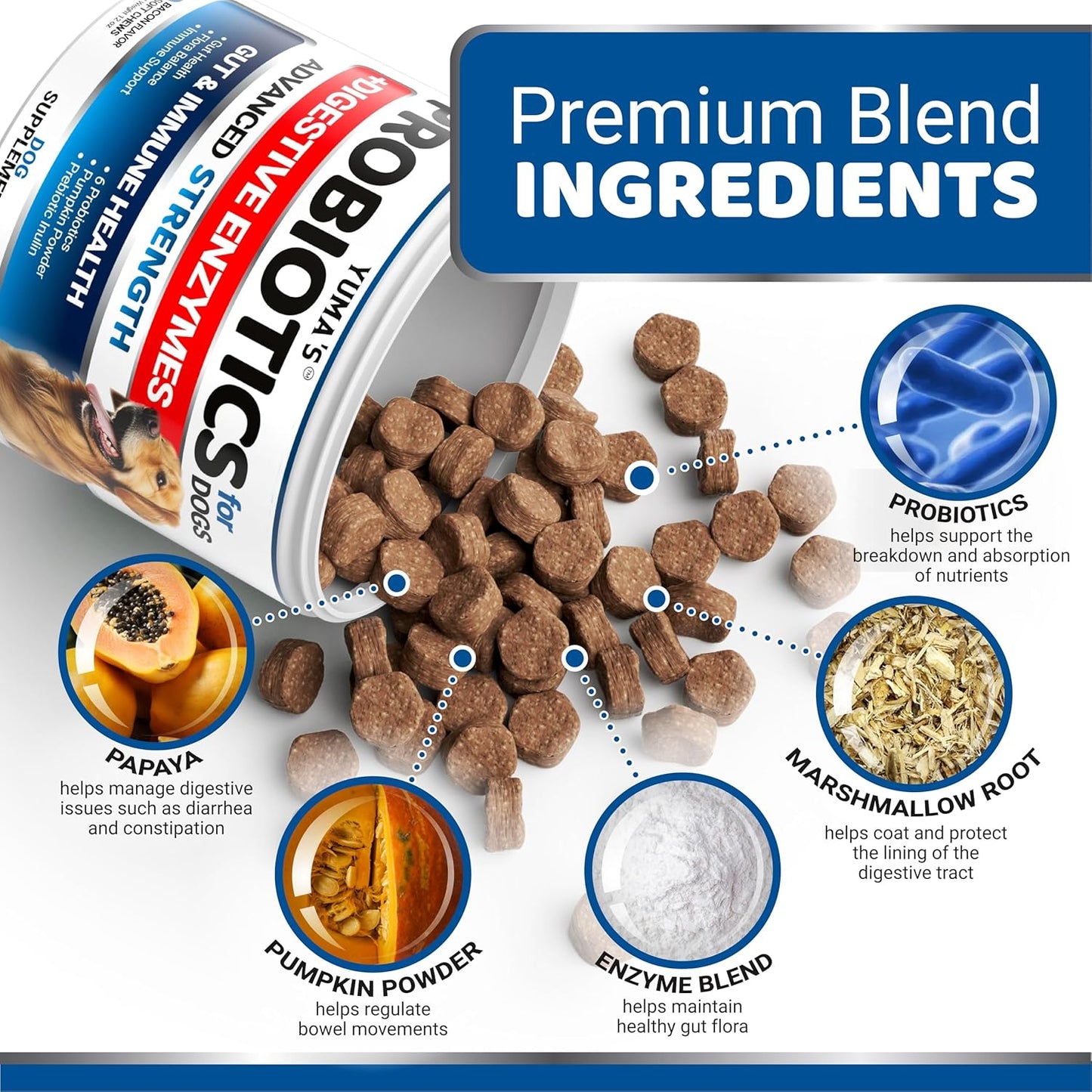 Probiotics for Dogs and Digestive Enzymes - 170 Dog Probiotics Chews - Dog Probiotic - Anti Diarrhea, Upset Stomach & Gas Relief, Canine Prebiotic - Pet Fiber Supplement - Bacon Flavor