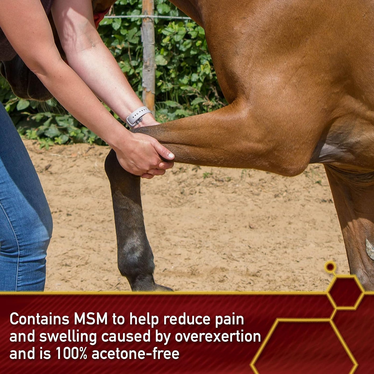 Vita Flex Thermaflex Liniment Gel for Sore Muscles and Joint Relief in Horses 12 Fluid Ounces (Pack of 2)