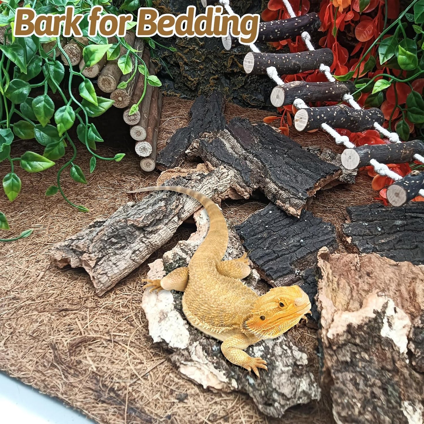 BNOSDM Reptile Cork Bark Substrate and Wooden Hideout Platform for Lizard, Gecko