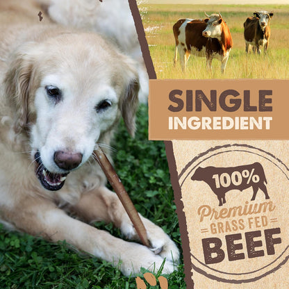 Mighty Paw Long Lasting 12" Bully Sticks for Dogs - All Natural Grass Fed Beef Chews. Lower Odor Dog Bully Sticks for Large Dogs, Medium and Small Breeds. Single Ingredient Treats