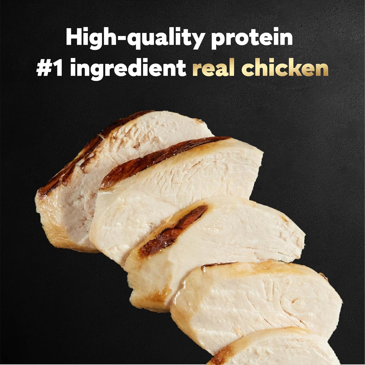 Cesar Filets in Gravy Wet Dog Food, Wood-Grilled Chicken Flavor, 1.76 oz. Mini-Pouches, 20 Count (Pack of 1)