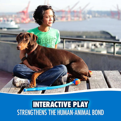 Chuckit! Fetch & Fold 25M Dog Ball Launcher, 25" Length, Includes Medium Ball (2.5") For Dogs 20-60 Pounds