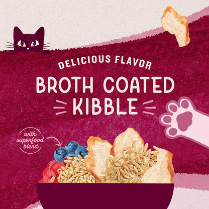 Natural Balance Original Ultra Dry Cat Food, Chicken Meal & Salmon Meal Recipe, Whole Body Health for Kittens to Adult Cats, 6 lb. (Pack of 1)