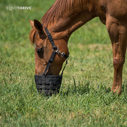 Equithrive MetaCare Horse Supplement Pellets with Resveratrol, Flavonoids and Amino Acids, Equine Metabolic Support, 3.3 lbs, 30 Day Supply