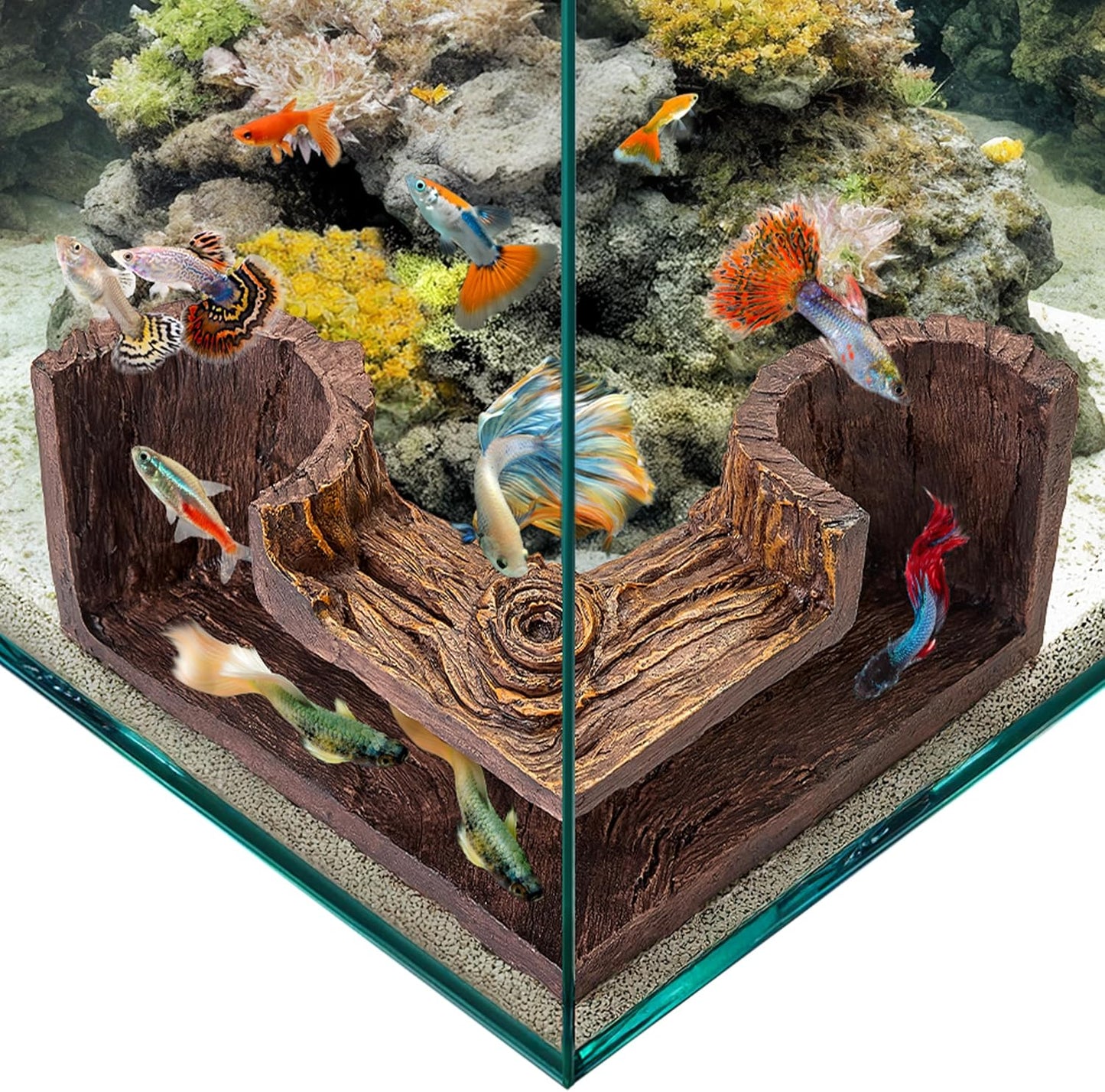 FISHNOSH Aquarium Cave | Natural-Looking Wood-Like BPA-Free Fish Tank Cave for Corners | 5.1” x 2” x 2.7” Fish Hideout for Aquarium | Guppy, Neon Tetra, Corydoras Catfish, Betta Hide | Tank Decor