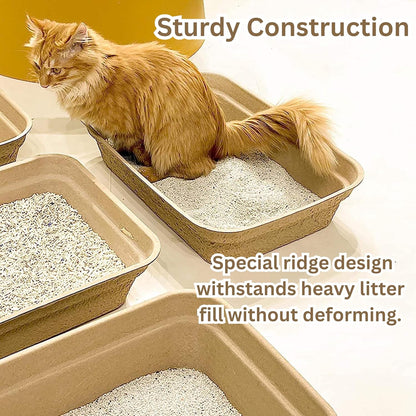 Disposable Cat Litter Box 6 Pack – Eco-Friendly Kitty Litter Box, 100% Biodegradable Paper Pulp, Leak-Proof Disposable Travel Litter Boxes for Cats, Cat Tray 18"x13"x4"