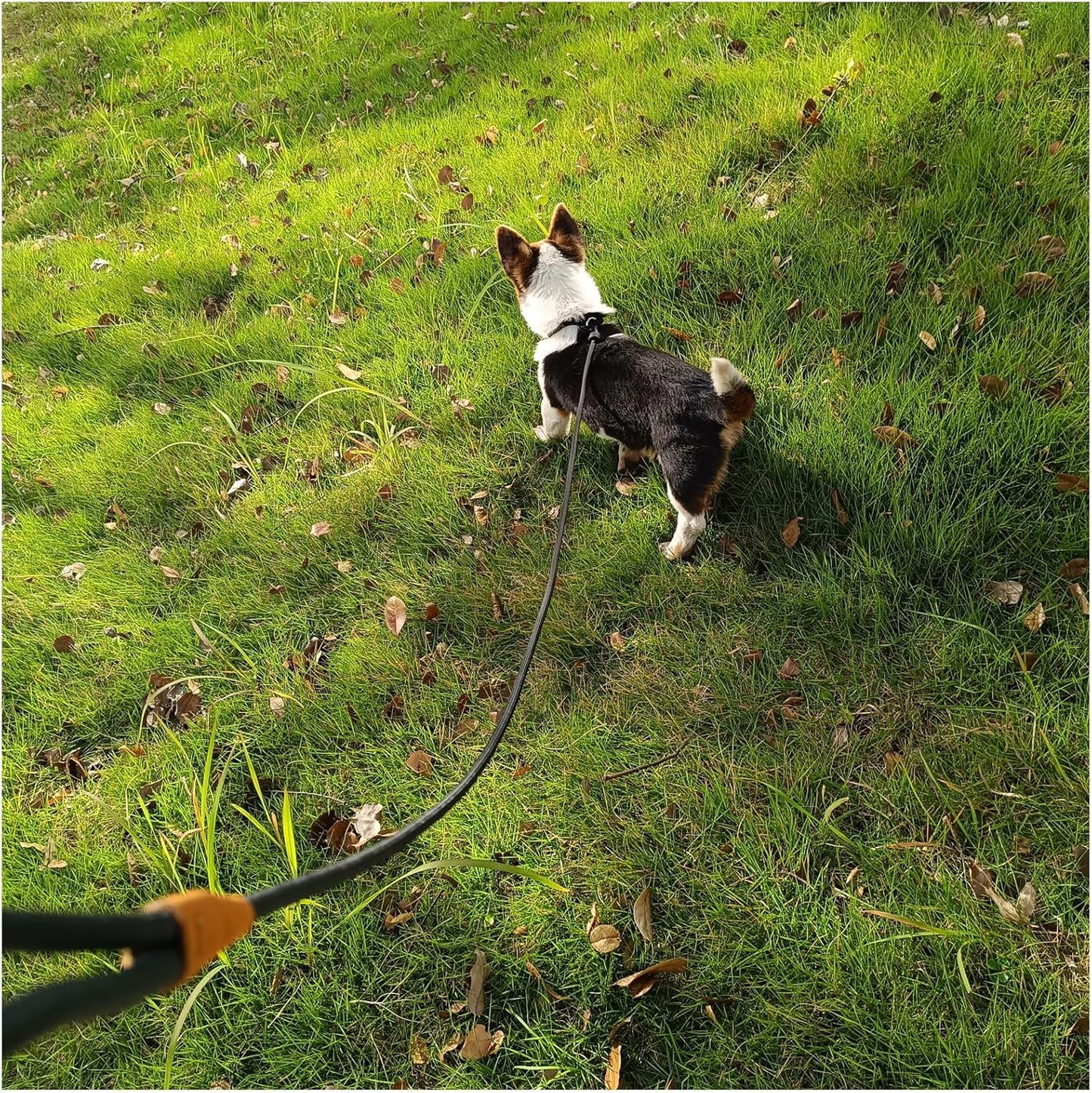 12ft Long Slip Leash with Padded Handle + 6ft Slip Lead Small Dog Training Leash, Black