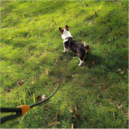 12ft Long Slip Leash with Padded Handle + 6ft Slip Lead Small Dog Training Leash, Black