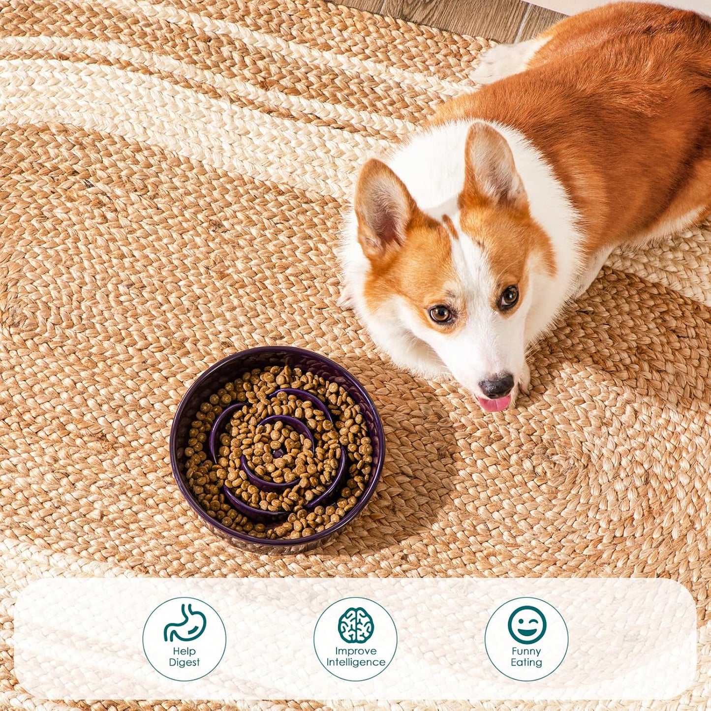 vancasso Slow Feeder Dog Bowl, 1.5 Cups Ceramic Slow Feeder for Medium Breed, Puzzle Maze Food Dog Bowl for Fast Eater, Dark Purple