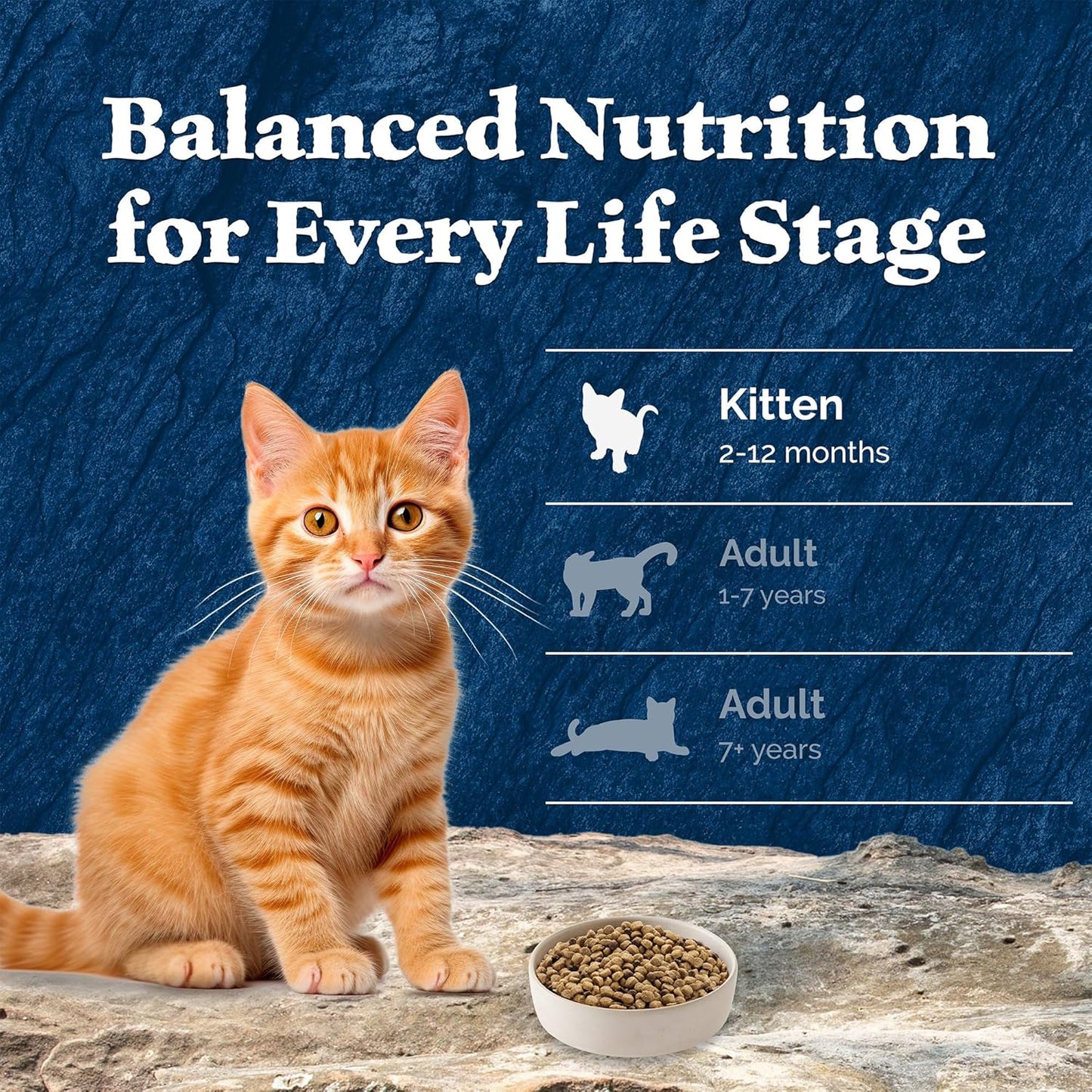Blue Buffalo Wilderness Natural Kitten Dry Cat Food, with DHA and ARA to Support Brain and Eye Development, High-Protein and Grain-Free Diet, Chicken, 5-lb. Bag