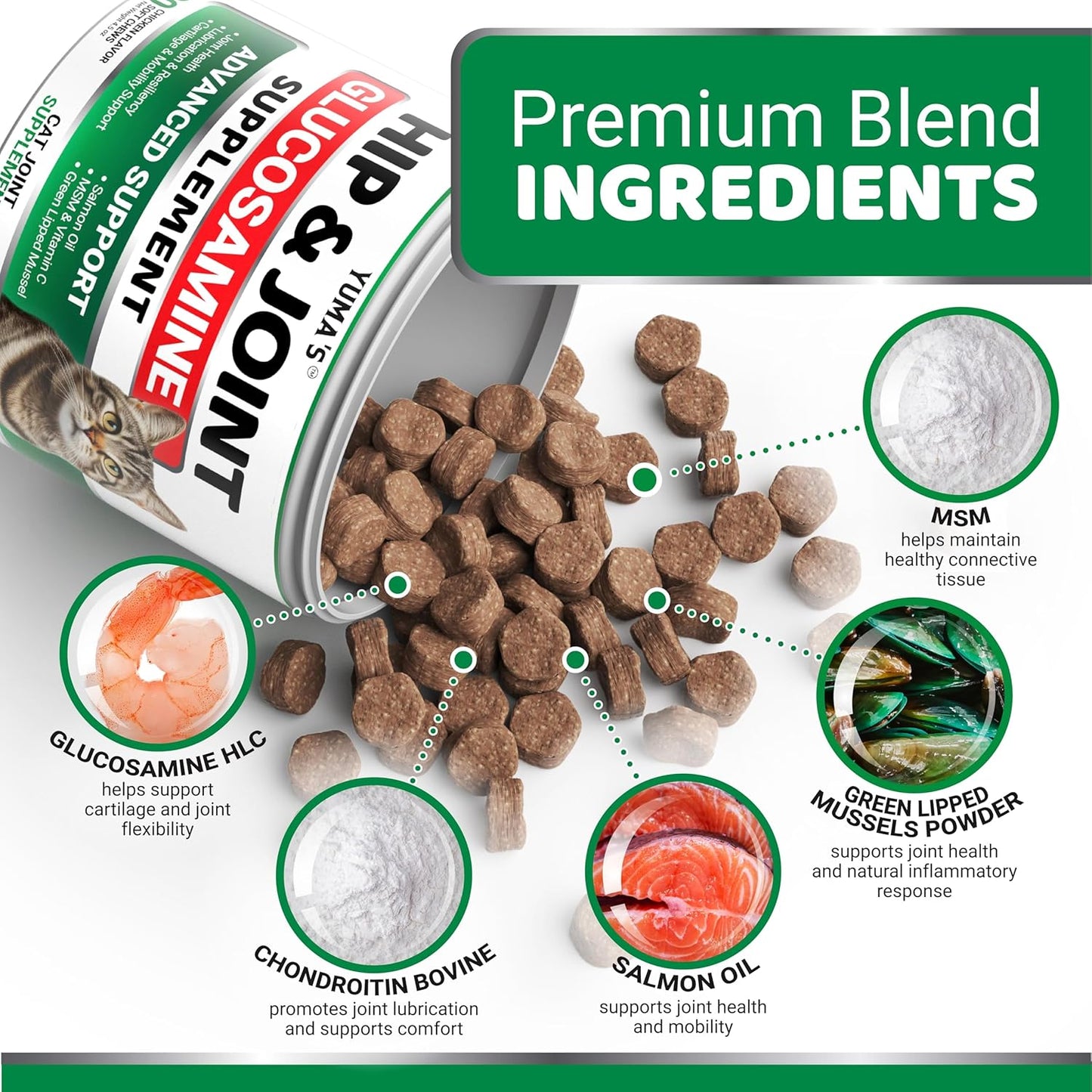 YUMA'S Cat Hip and Joint Health Supplement Chews – Advanced Glucosamine for Cats – MSM, Chondroitin & Omega-3 Salmon Oil – Supports Mobility, Joint Pain Relief, Cat Vitamins for Indoor & Outdoor Cats