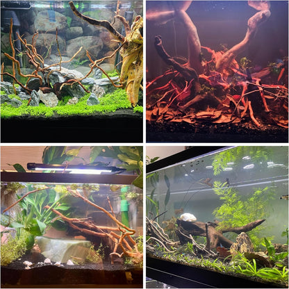 Azil Natural Aquarium Driftwood Root – Driftwood for Aquarium Decor, 170g (14″–16″), Fish Tanks, Terrariums, Aquascaping & Planted Tanks