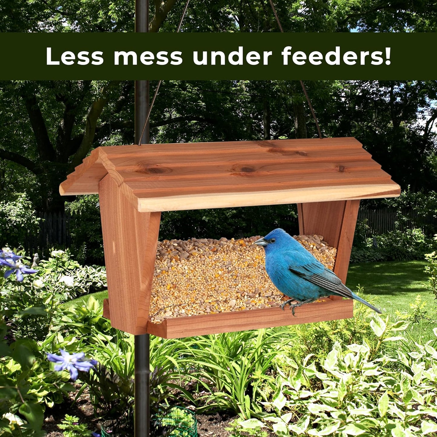 Kaytee Wild Bird (No Mess or Waste Free) Food Seed Blend For Blue Jays, Woodpeckers, Juncos, Cardinals, Grosbeaks, Sparrows, and Finches, 10 Pound, (Packaging May Vary)