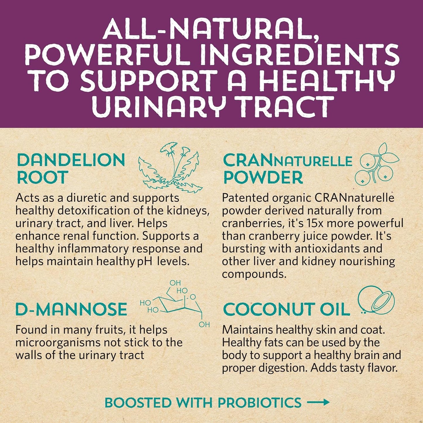 Meowbiotics Kitty P. Freely Cat Urinary Supplement, Cranberry for UTI & Kidney Support Powder Probiotics for Cats, Made in USA (30 Days)