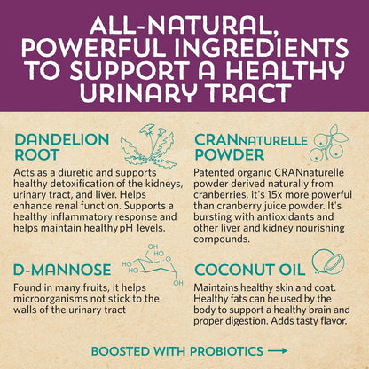 Meowbiotics Kitty P. Freely Cat Urinary Supplement, Cranberry for UTI & Kidney Support Powder Probiotics for Cats, Made in USA (30 Days)