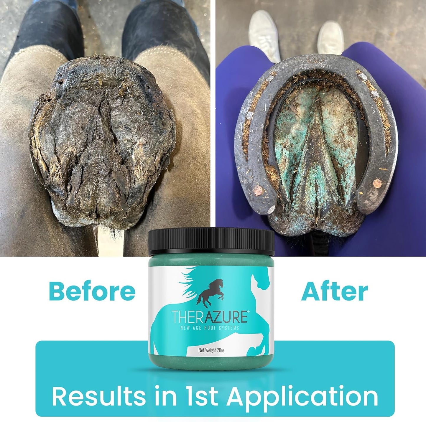 Horse Hoof Thrush Treatment Clay and White Line Equine Care: Effective on Horses, Cows, Goats, Sheep, Pigs and All Hooved Animals- 20 oz Jar New Heat Resistant Formula*