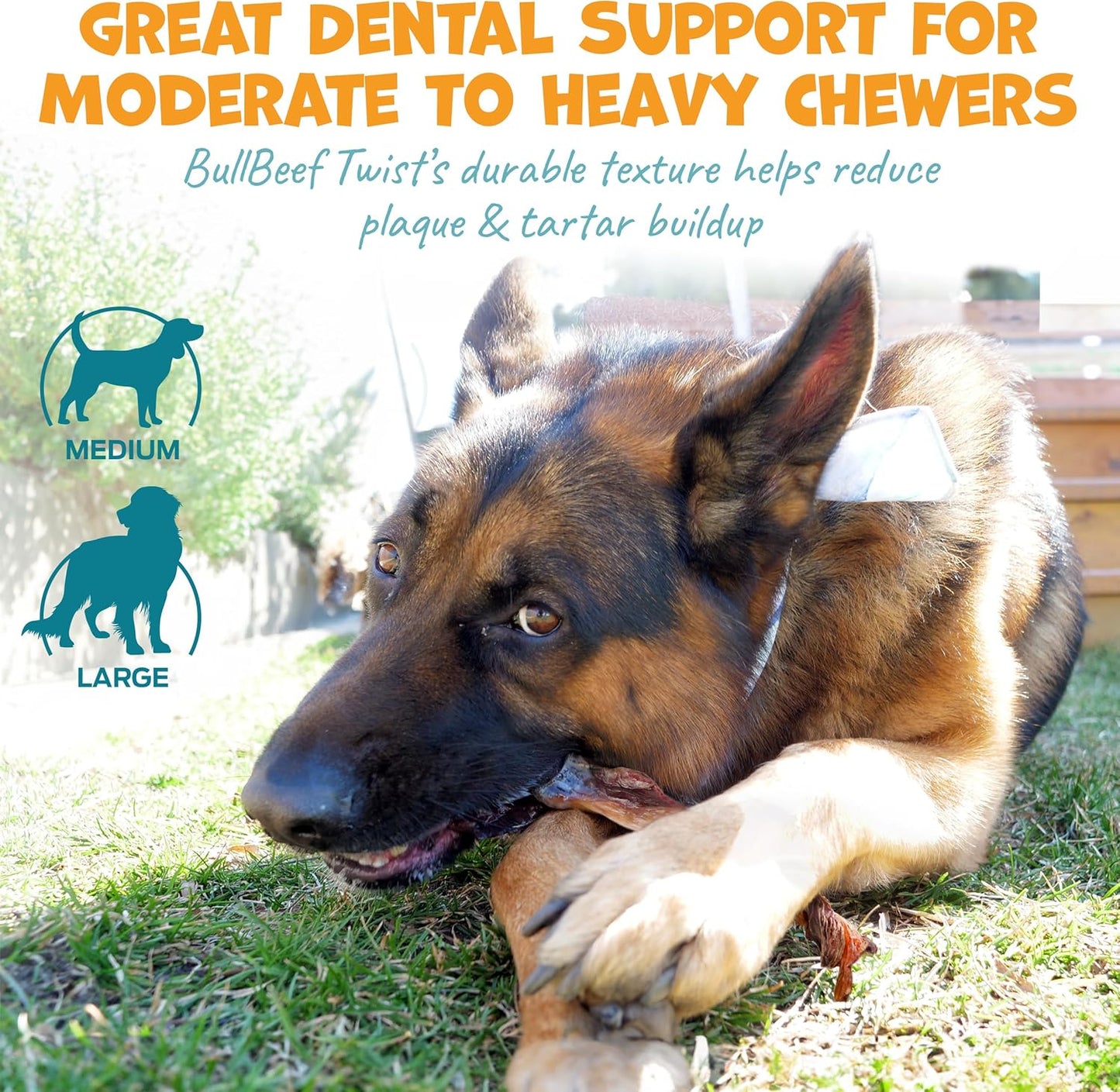 Long Lasting Dog Chews Bundle - Beef Cheek Rolls & Bull Beef Twists for Medium to Large Dogs