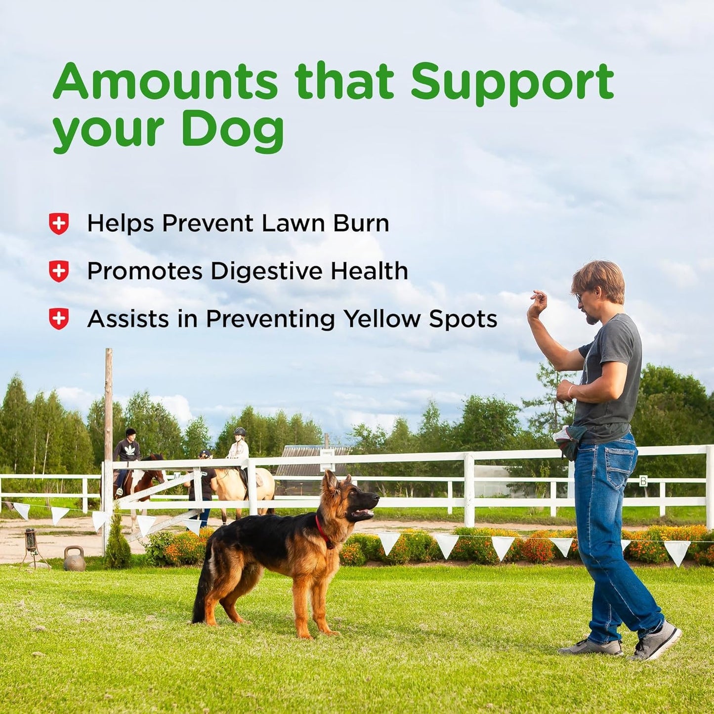 Nutri-Vet Grass Guard Chewables, Lawn Burn Prevention, Dog Urine Neutralizer for Grass, Gut Health Support with Probiotic and Enzymes, Dog Probiotics, Pet Supplement Tablets, 150 Count (Pack of 2)