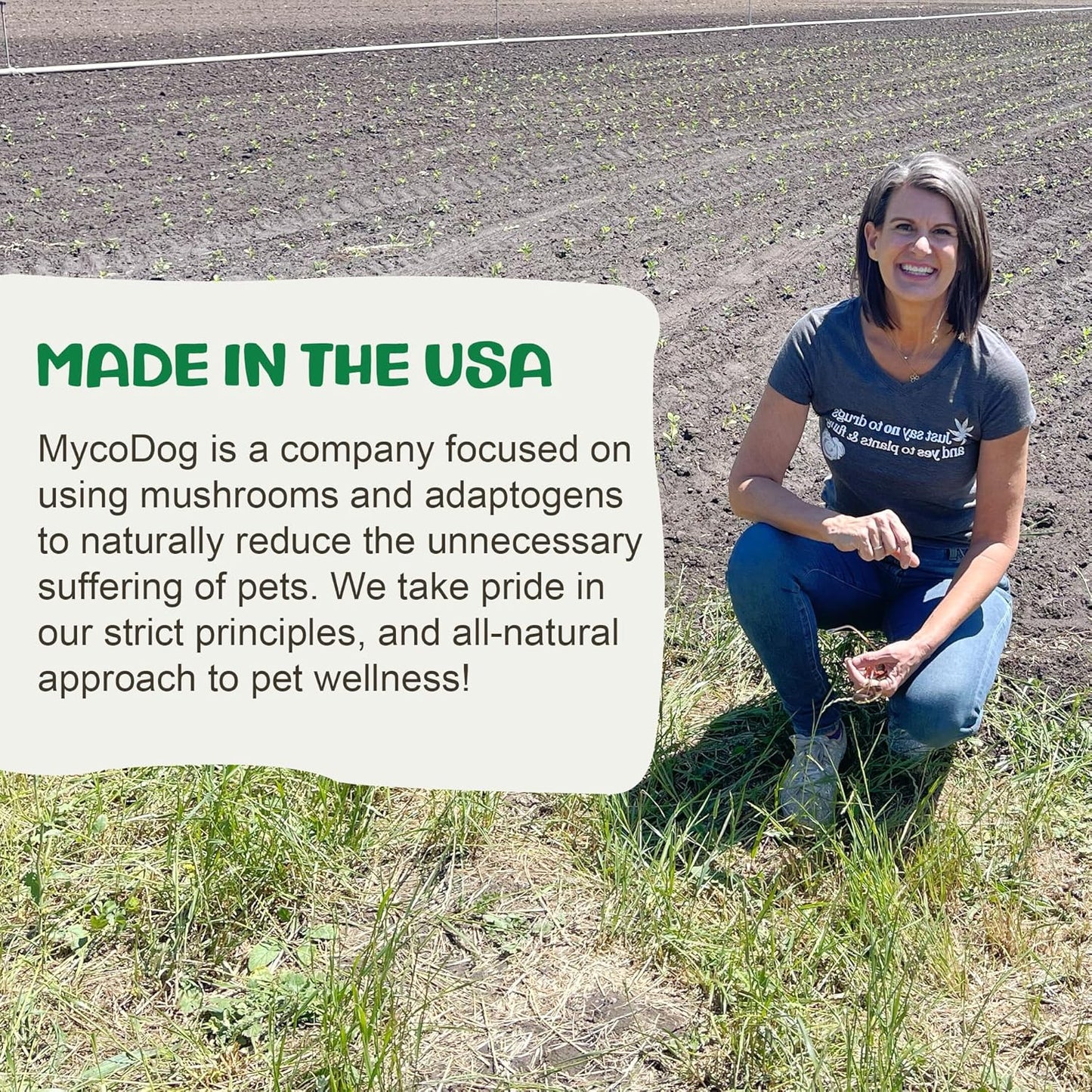 MycoDog Digest - Digestive Support Mushroom Supplement for Dogs - Holistic Gut Support - Adaptogens & Functional Mushrooms for Microbiome Balance, Probiotic Alternative