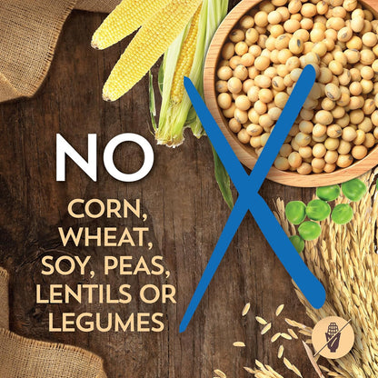 Wholesomes Sensitive Skin & Stomach with Salmon Protein Dry Dog Food 30 lb