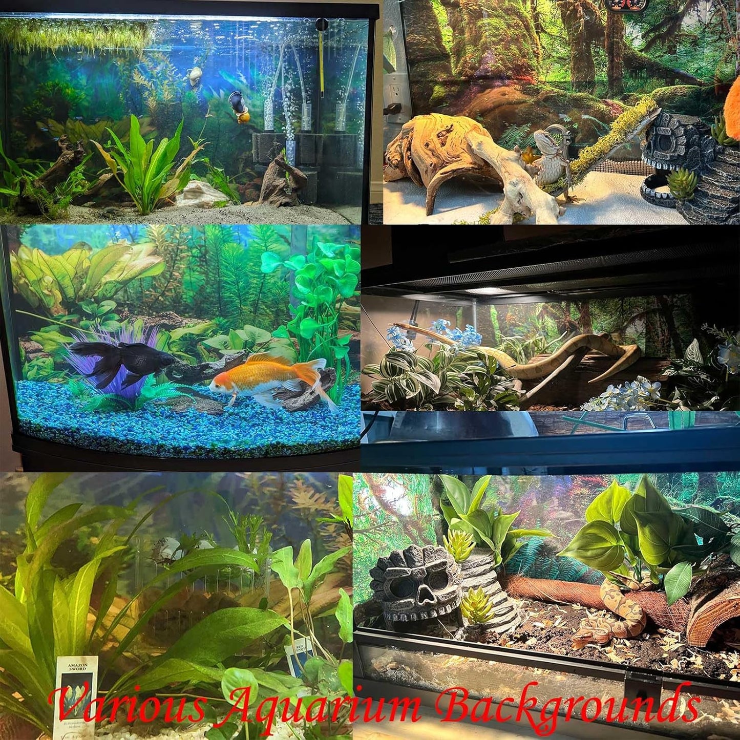 Majestic Lake Aquarium Background Aquamarine Blue-Green Shades Five Lakes Fish Tank Background Scenic Serene Pine Trees Terrarium Backgrounds Tranquil Valley Lakes Reptile Tank Backgrounds 72x18in
