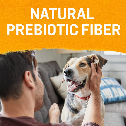 Purina Beyond Chicken, Carrot and Pea Ground Grain Free Wet Dog Food Natural Pate with Added Vitamins and Minerals - (Pack of 12) 13 oz. Cans