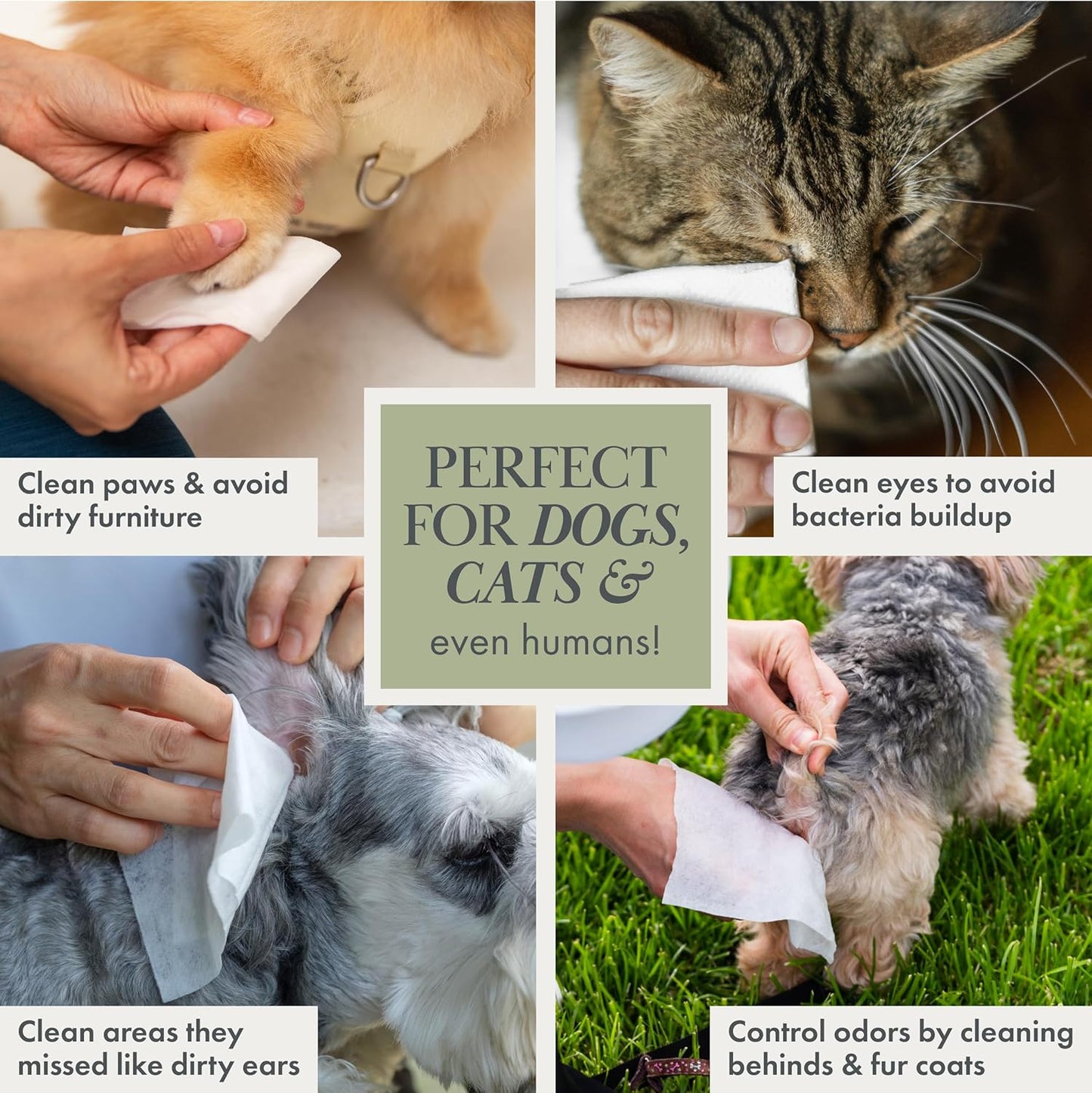 Nina Woof Dog Wipes – Fragrance-Free, Alcohol-Free, Hypoallergenic Pet Grooming Wipes with Aloe Vera, Biodegradable, for Dogs & Cats: Paws, Face, Ears & Butt – 2-Pack (140 Count)