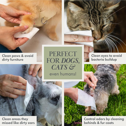 Nina Woof Dog Wipes – Fragrance-Free, Alcohol-Free, Hypoallergenic Pet Grooming Wipes with Aloe Vera, Biodegradable, for Dogs & Cats: Paws, Face, Ears & Butt – 2-Pack (140 Count)