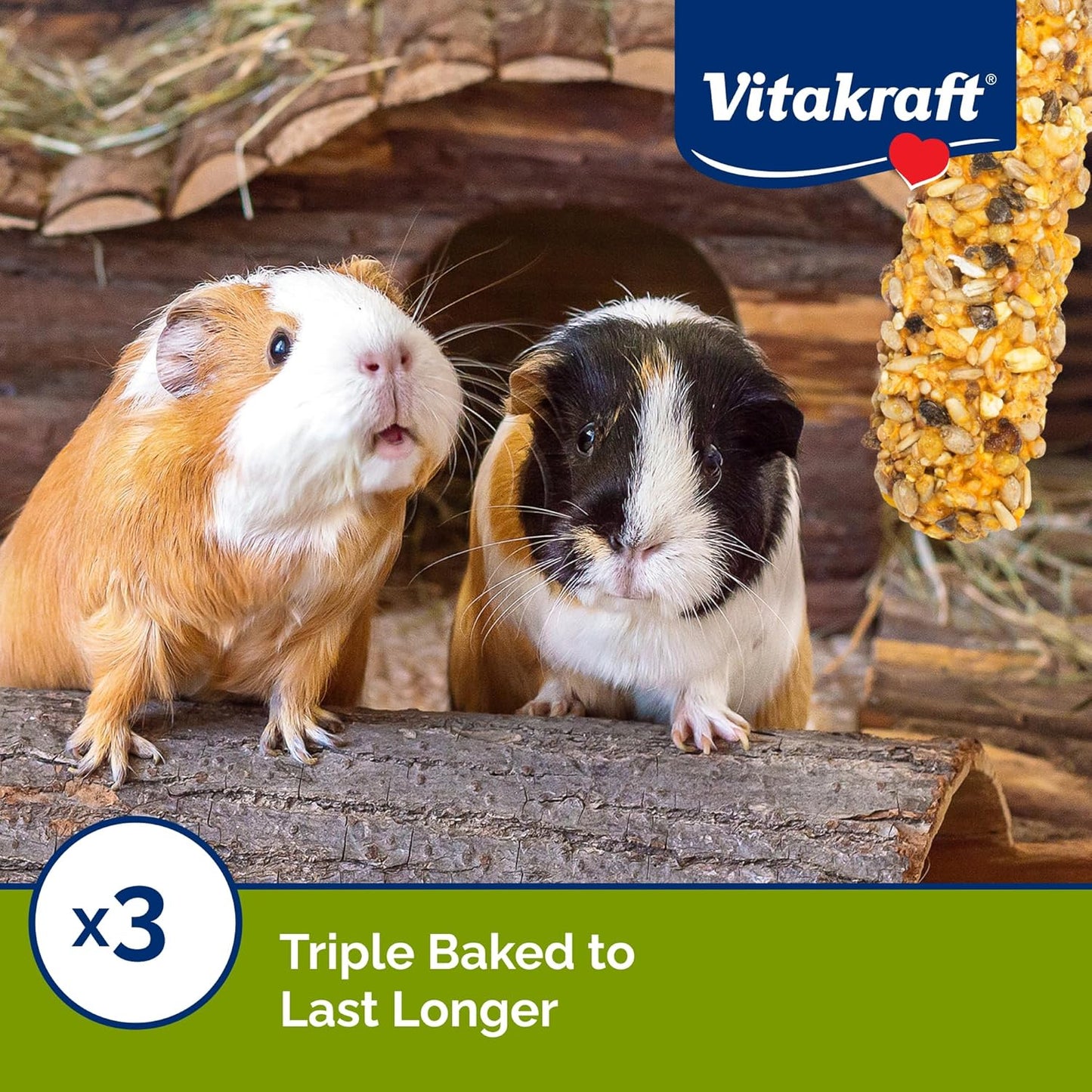 Vitakraft Guinea Pig Fruit & Honey Treat Sticks 2 Pack, 3.5 Ounce, Enriched Snack with Wooden Chew Core for Dental Health