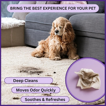 Aurora Pet Grooming Wipes – 400 Extra-Large Wipes for Dogs & Cats | Plant-Based, Hypoallergenic & All-Natural | Alcohol, Paraben & Sulfate-Free | Lavender Scent